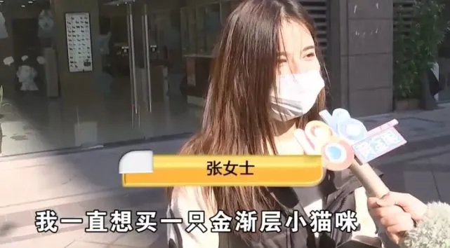 杭州：女子花4千元买到“星期猫”，商家拒不退款：退换时间已过