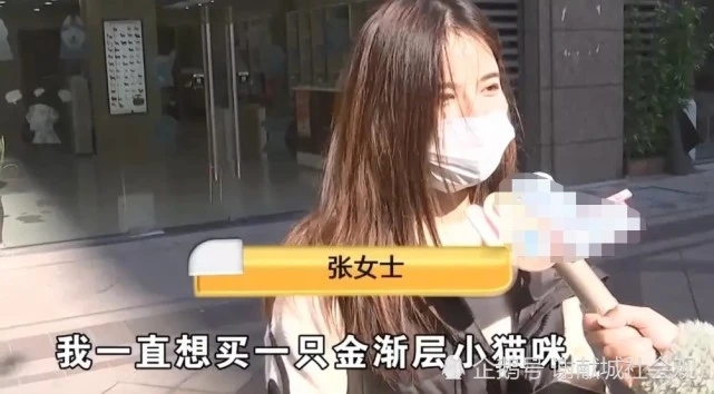 浙江女子花3200元买猫，3天后发现小猫不对劲，店老板：不是我的责任