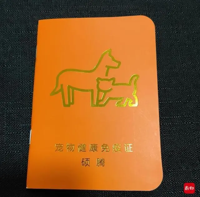 各方回应南都“假宠物免疫证”调查！电商平台已下架问题商品