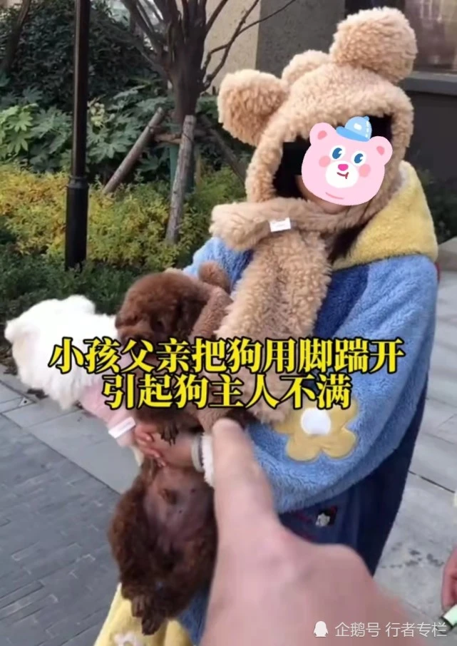 西安：宠物犬不栓绳吓到小孩，狗主人拒绝道歉：比你家娃精贵