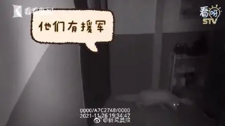 唏嘘！上海一女子搬家后将宠物白狐遗弃 饲养宠物请三思而行！