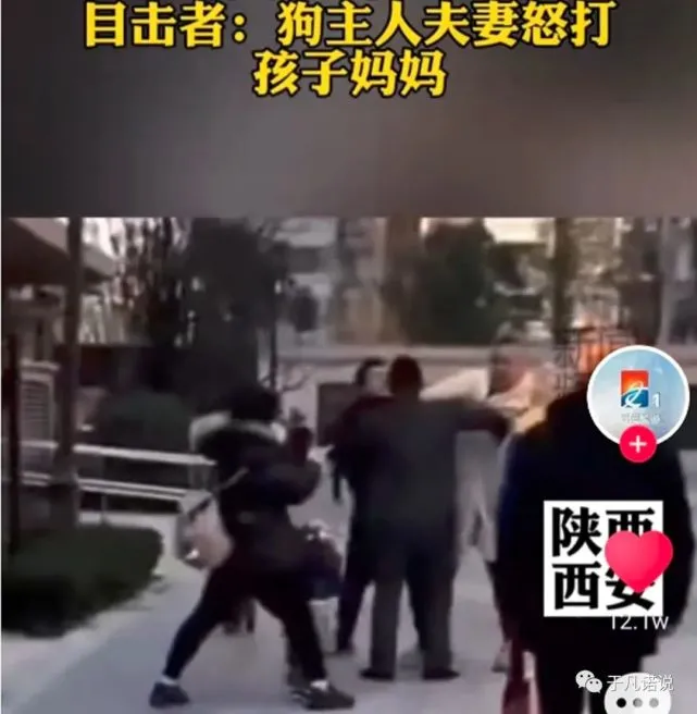 又来了，我家的狗比你家的娃金贵！