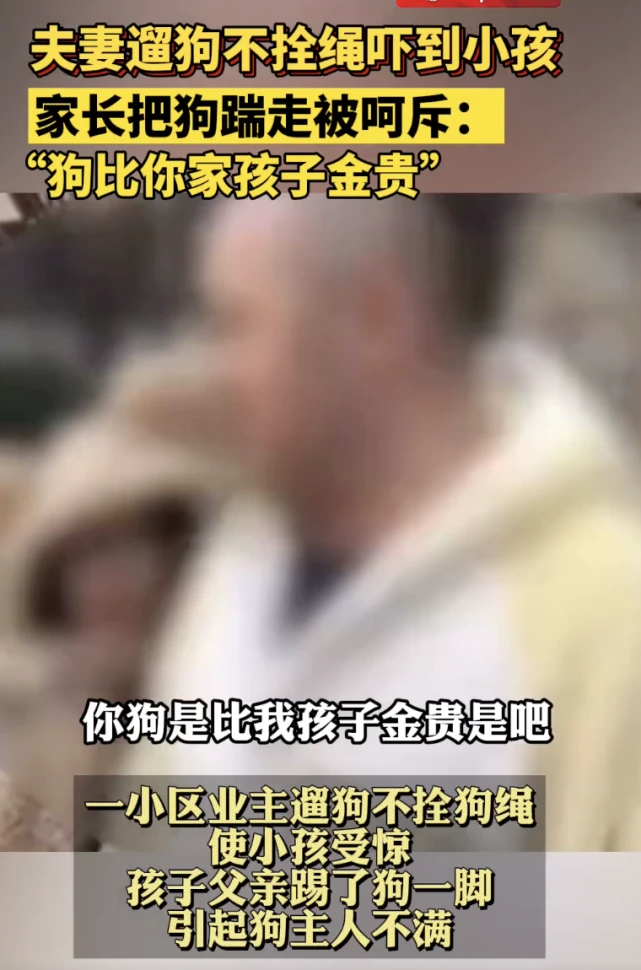 遛狗不栓绳并称狗比娃金贵狗主被罚 警方：扣狗并罚款1300元