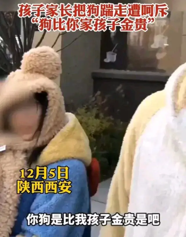 陕西西安一对夫妻居然说狗比孩子金贵还打人，现在终于被处罚了