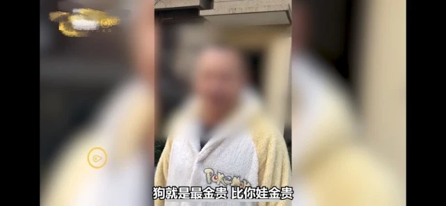 陕西夫妻遛狗不栓绳还称狗比娃金贵，最新：狗被暂扣、处罚1300元