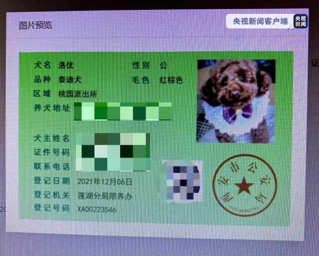 “狗比娃金贵！”一句话引热议 事件最新进展