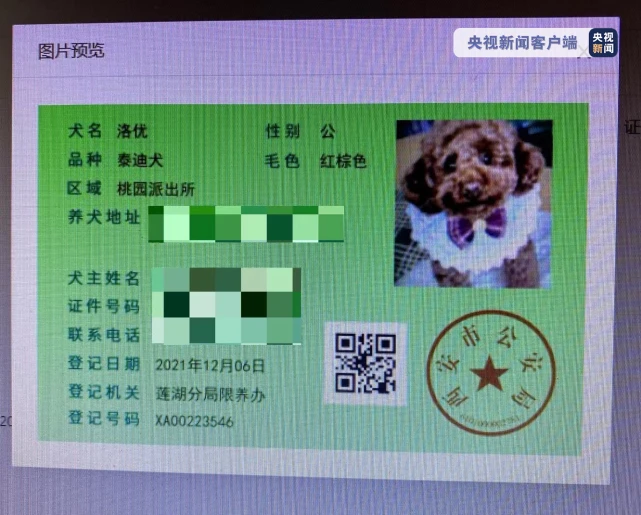 “狗比娃金贵！”后续：2只犬已取得“合法身份”