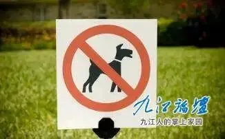 这地发布“最强限狗令”！网友建议九江推广，你看如何？