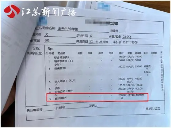 爱犬送到宠物店寄养后 意外得知眼球被摘除
