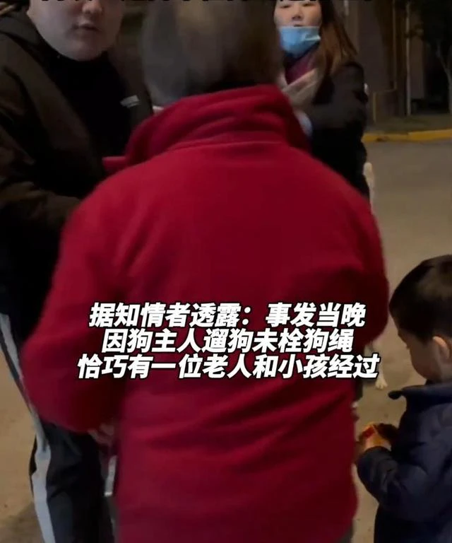 女子遛狗不牵绳反骂老人，物业：小区规定遛狗必须牵绳