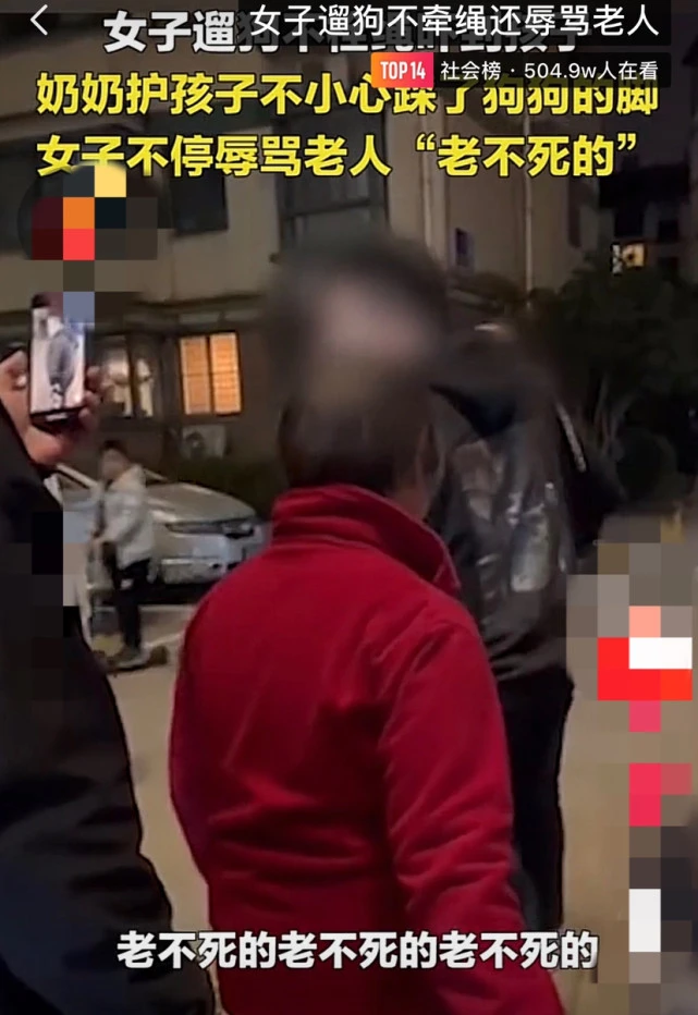 女子遛狗不拴绳扑孩子，老人护孩子误踩狗爪子，女子骂老人“老不死的”多遍