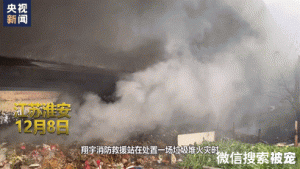 这只小奶狗，在线征名啦