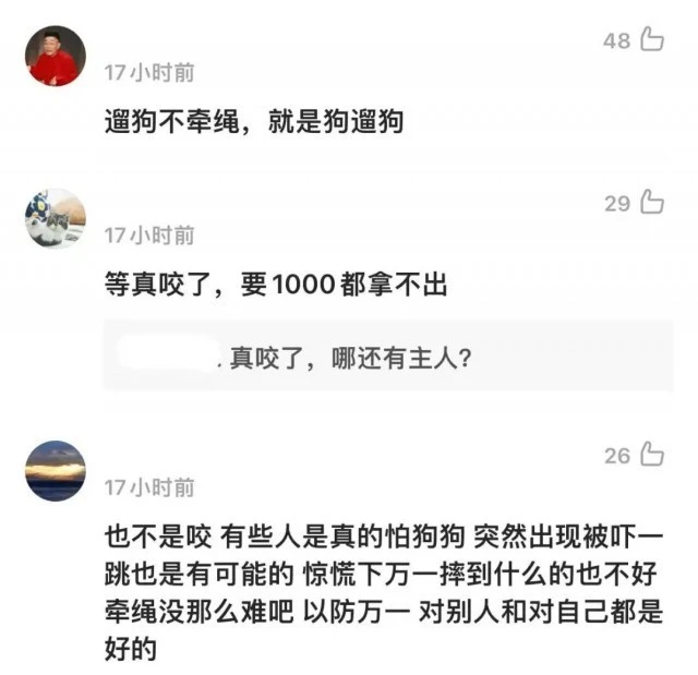 遛狗不牵绳称“咬到赔你10万”，警方介入
