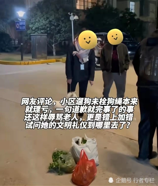 江苏：女子遛狗不牵绳，吓到小孩拒认错，复读机模式怒喷：老不死