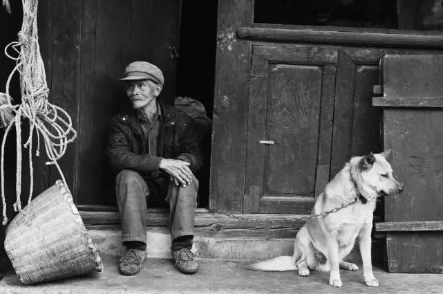 民间故事：老汉养了一条狗，深夜狗将他叫醒，老汉躲过了地震