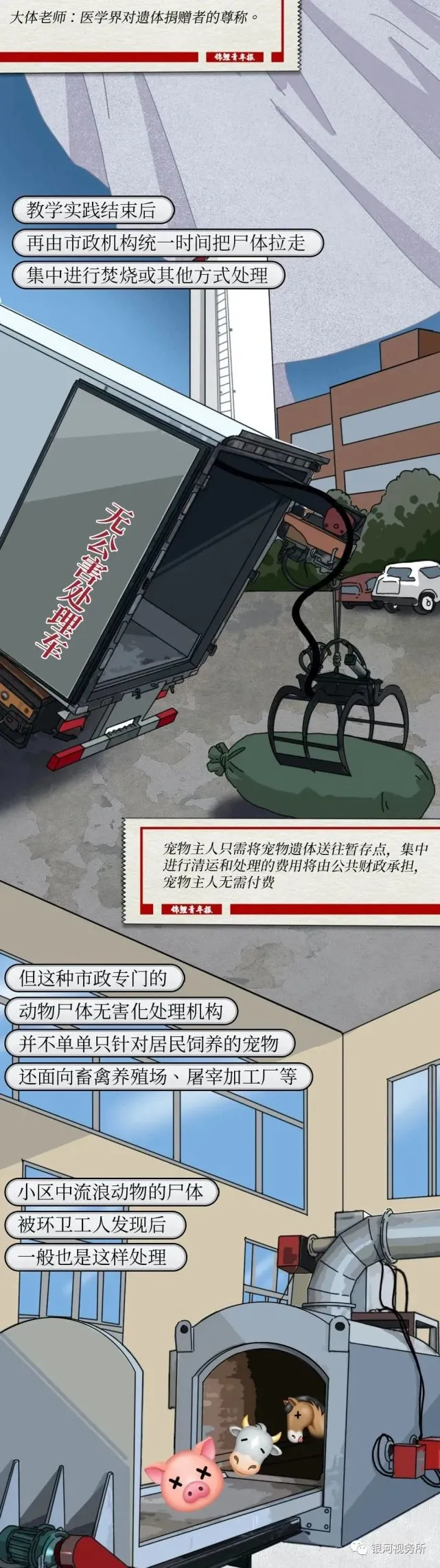 长漫：真正的宠物无害化处理方式