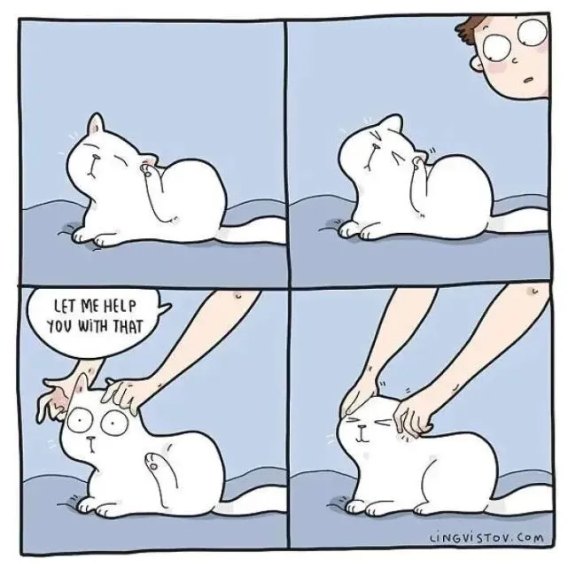 猫趣｜养猫后的日子多姿多彩，有没有某个瞬间能让你会心一笑的呢？