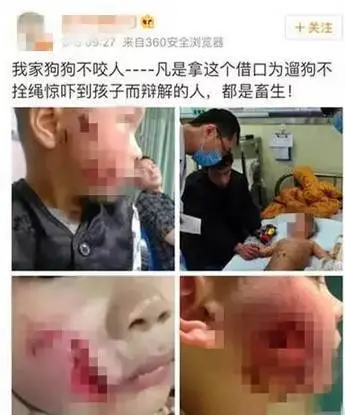 文明养犬，是普通民众和真正爱狗者的共同心愿！