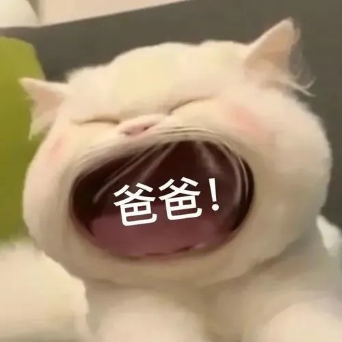 公猫到底要不要绝育？