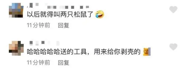 男子买“三只松鼠”发现一只仓鼠！网友：怎么把客服邮过来了？