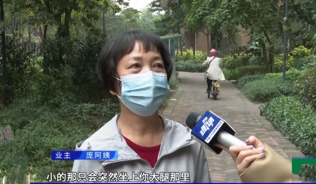 遛狗起冲突！广东一小区多只狗中毒，狗主人怀疑是有人投毒