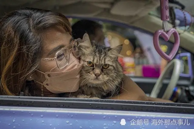伊朗推出新法案禁止国民养宠物包括猫狗！原因是：有害和危险