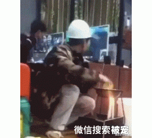 “大家怎么称呼陌生的狗狗？”这个是怎么做到如此统一的