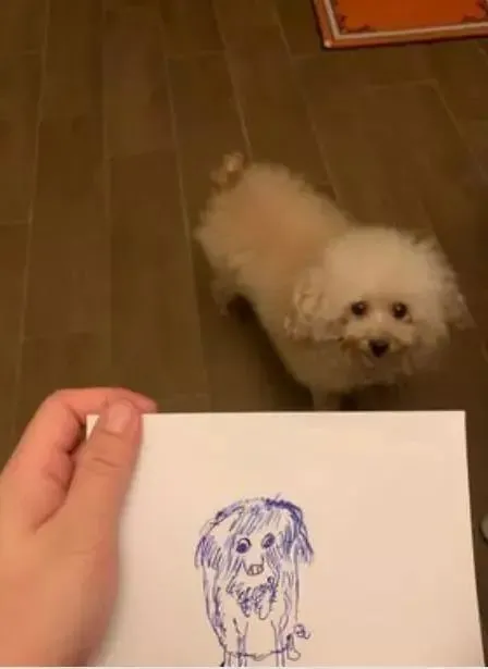 给狗子画画像，网友看后纷纷点头：画得真好，下次别画了！