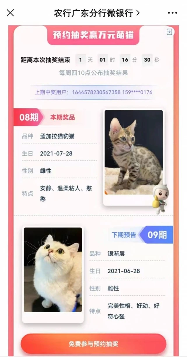 农行被曝拿活猫当抽奖奖品：运营方称活动已下架，有7名客户弃奖