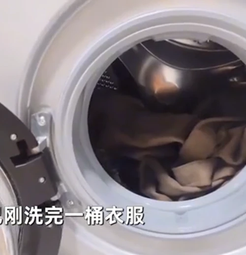 洗衣6分钟后听到猫叫声，女子打开滚筒后愣住了：我滴个乖乖啊