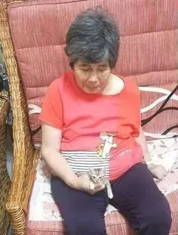 猫趣｜72岁的老阿嬷推着毛孩子散步，把遛猫当复健，暖哭众人
