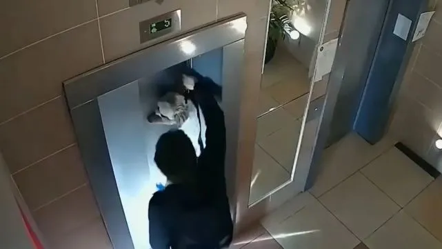 狗狗被主人遗忘身后，被电梯门卡住，悬挂半空挣扎呼救