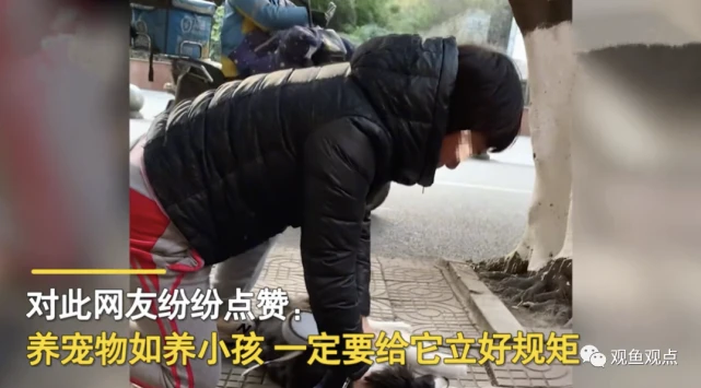 女子被自家狗咬后当街镇压并教育狗：崽，今天教你怎么做狗