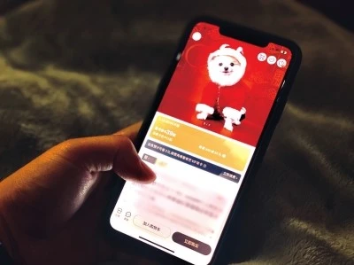 新年前国外“铲屎官”来中国进货，国产宠物用品出海迎增长