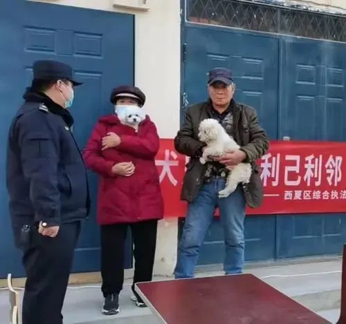 银川全市新办犬证16461张，饲养泰迪者最多！