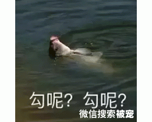 给你五毛，快滚