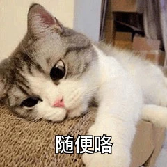 猫猫阴阳怪气表情包