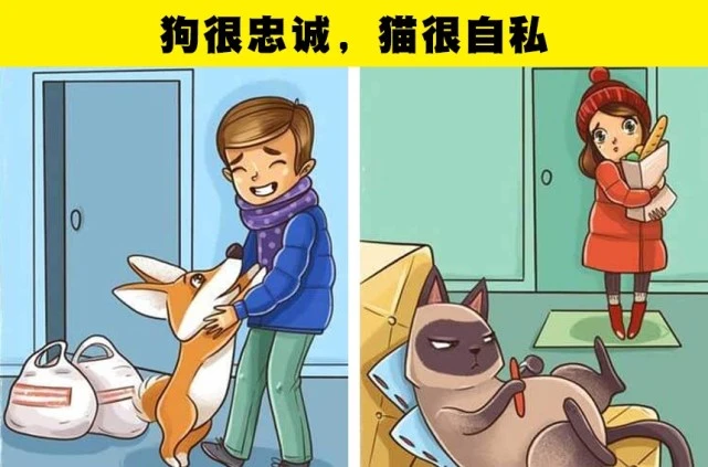 很多人在生活中持续相信着的7个错误的宠物知识