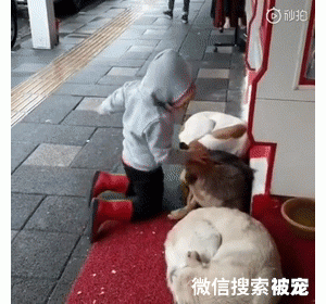 小男孩遇到流浪狗，居然上前给了它一个拥抱……网友先被吓到后被暖到