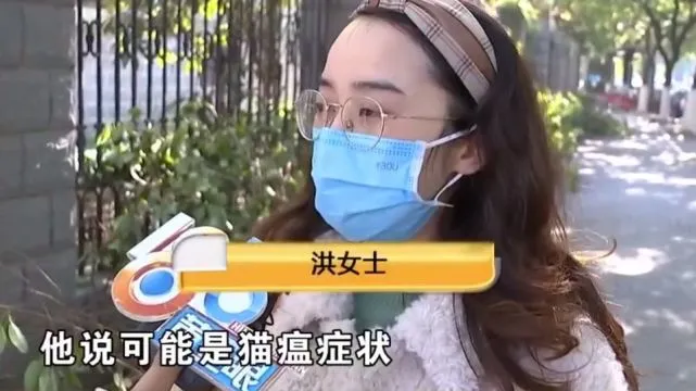 浙江：小猫呕吐送医诊断为猫瘟，但越治越严重，换医院却说没猫瘟