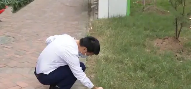 广东一小区多只狗中毒，狗主人质疑业主投毒：此前发生冲突
