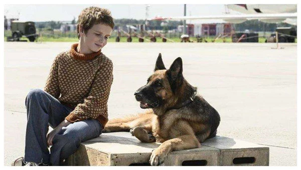 读碟｜忠犬帕尔玛