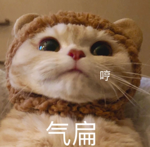 猫咪这6大表现，说明它生气了，你却还不知道