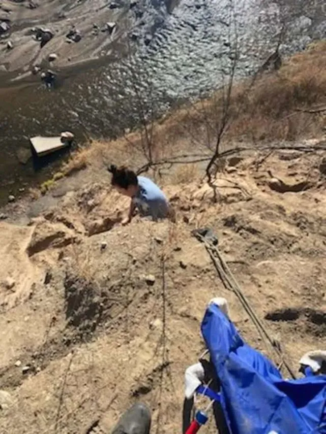 老人看到远处悬崖上有个奇怪的“点”后……竟救下一只狗！