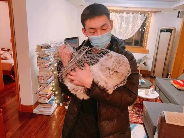 一地猫毛、隐秘的脚印……宠物侦探让每个“毛孩子”安全回家