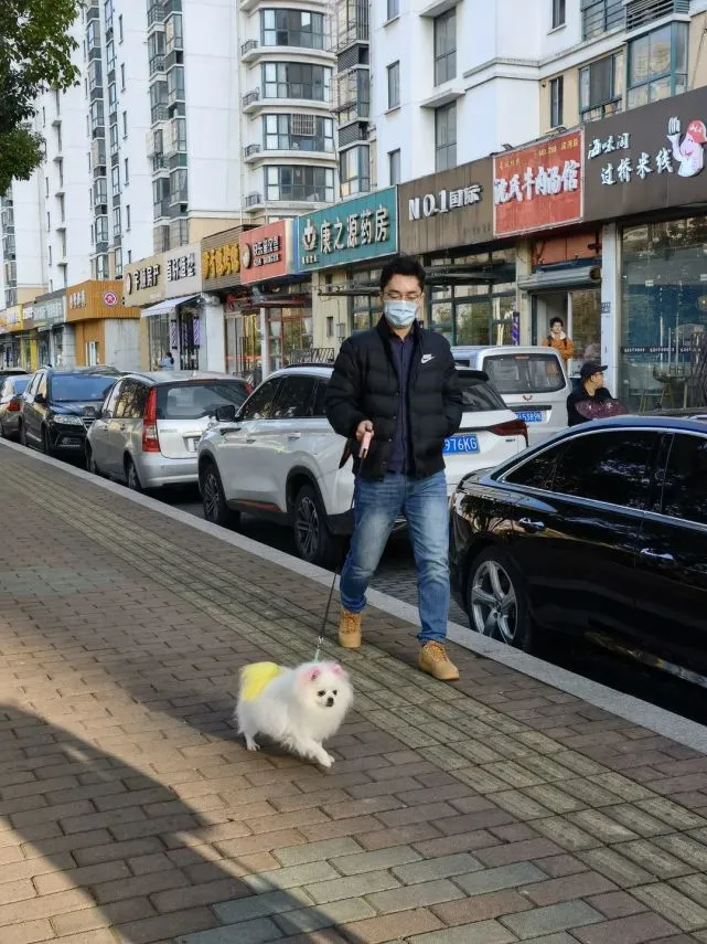 铲屎官：文明养犬，你做到了吗？