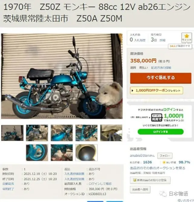 日本抢镜的可爱柴犬突然火了，店家是在卖车还是晒狗？