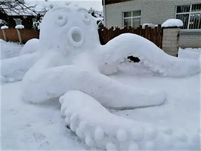 “网友雪人堆的真是花样百出！我永远达不到这些境界…”