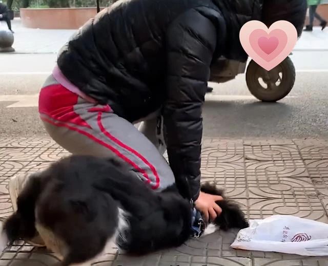 女子遛狗时被自家狗咬了一口，随即将汪按在地上教育：你服不服？