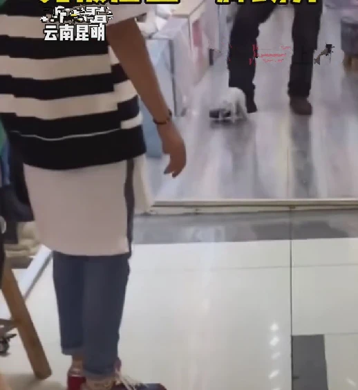 流浪猫跑进店内，却被店主无情用脚踢走：就不能温柔一些吗？